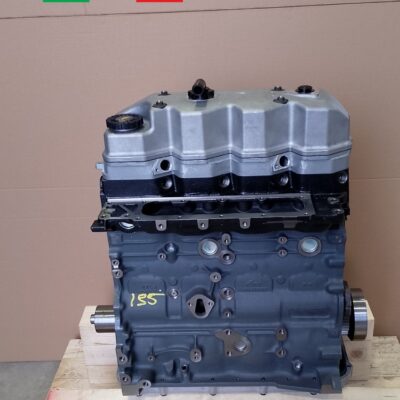 Motore Iveco FPT F4AFE411C