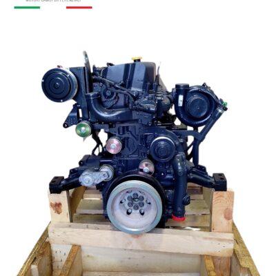 Motore Iveco F2CE9684S (CNH 504344007)