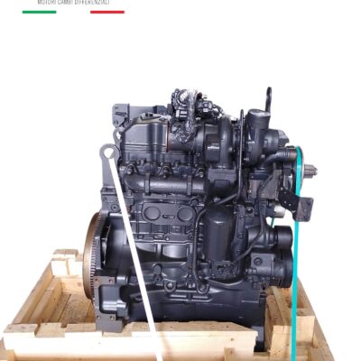 Motore Iveco F4DFE413B (CNH 5801635507)