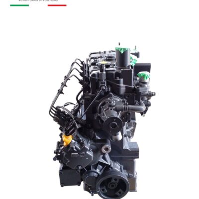 Motore Shibaura N844L F 36SL (SBA133806)